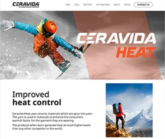 Website showcase