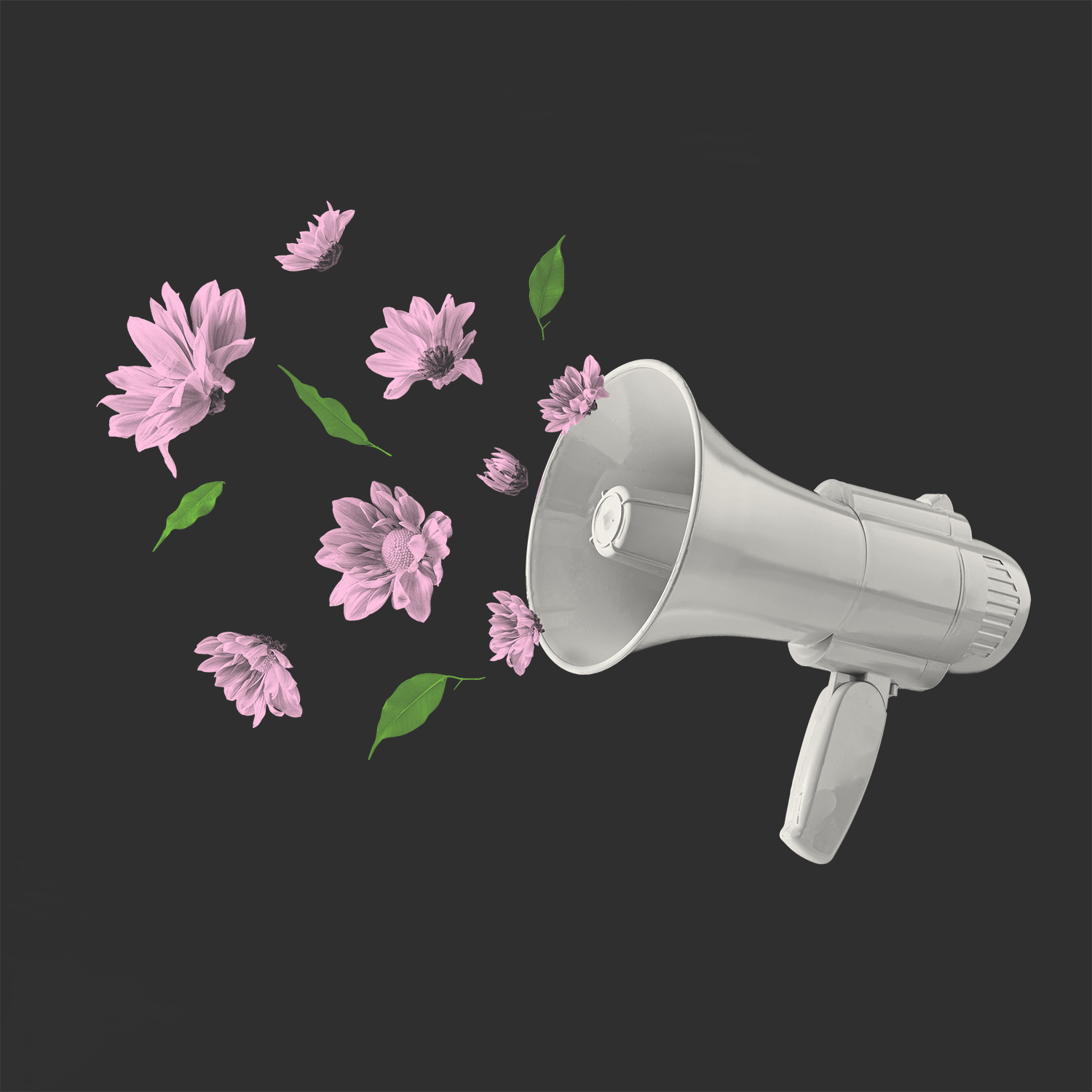 North appoints Green Hat to accelerate its customer-first, data-driven B2B strategy