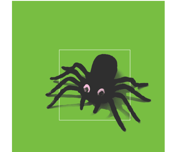 web1